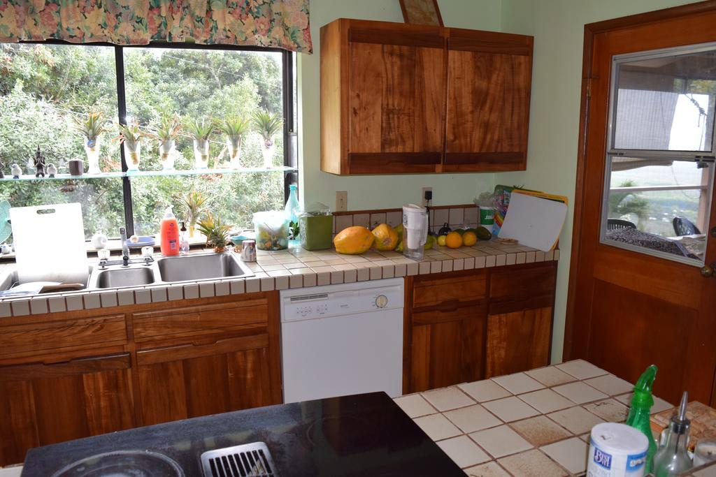 A Beautiful Edge Of The World Bed & Breakfast Captain Cook Extérieur photo